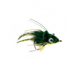frog swimming bright green