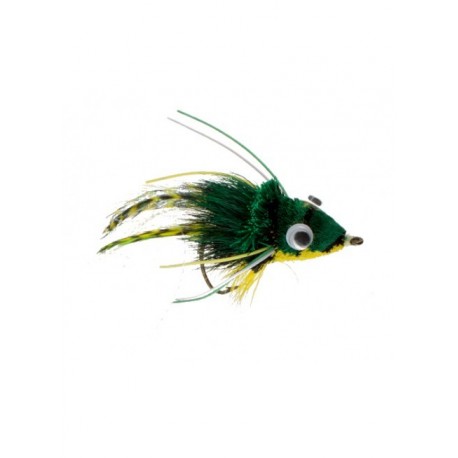frog swimming bright green