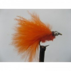 orange mini cats whisker