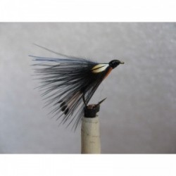 jungle cock prairie dog