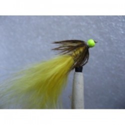 hot head yellow light olive damsel