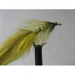 ians olive yellow damsel