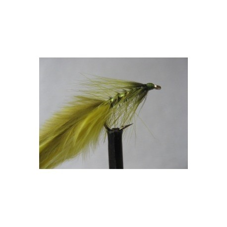 ians olive yellow damsel