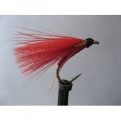 ians red devil cormorant