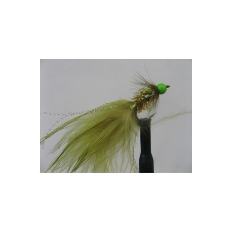 hot head green olive tadpole