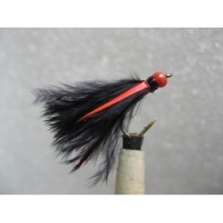 hot head red cormorant