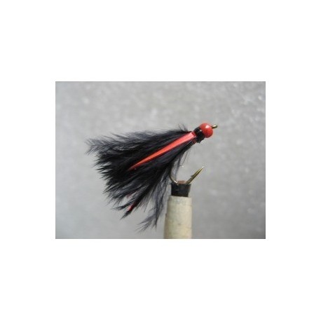 hot head red cormorant