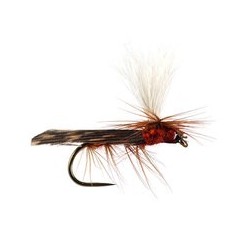 Parachute Caddis Brown BL