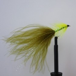 fl yellow olive damsel