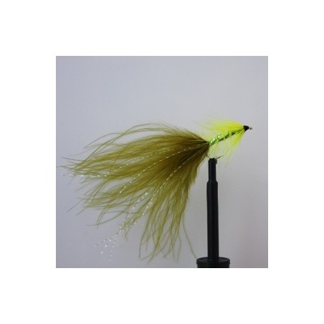 fl yellow olive damsel