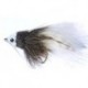 grey white baitfish