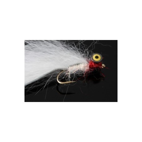 white cut throat yellow eyed dumbell zonker