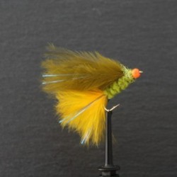 hot head orange dawsons olive hot tail