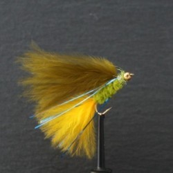 gold head dawsons olive hot tail