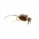 MallardsBetterMouse