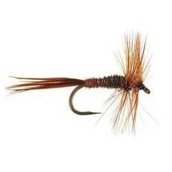 Pheasant Tail BL