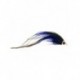 musky bandit black and blue