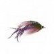 musky mayhem rainbow trout