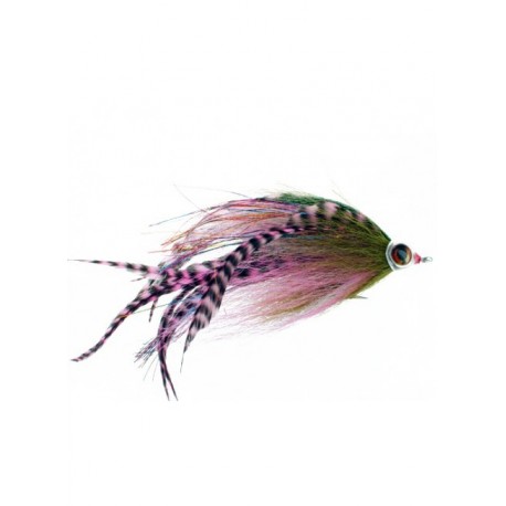 musky mayhem rainbow trout