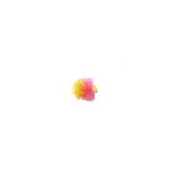 Neutral Density Sunburst & Pink Blob Booby