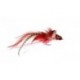 Pike Fly Red White