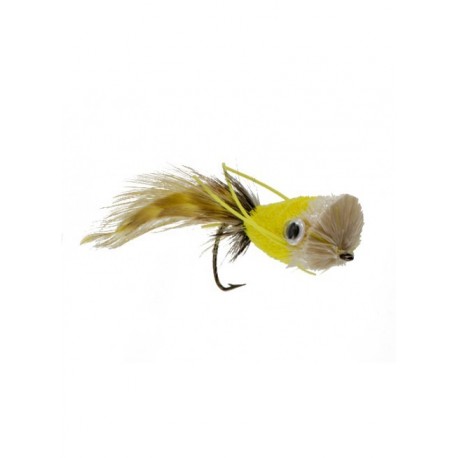 Popper Canary