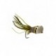 popper helm s