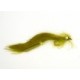 Olive Bunny Leech