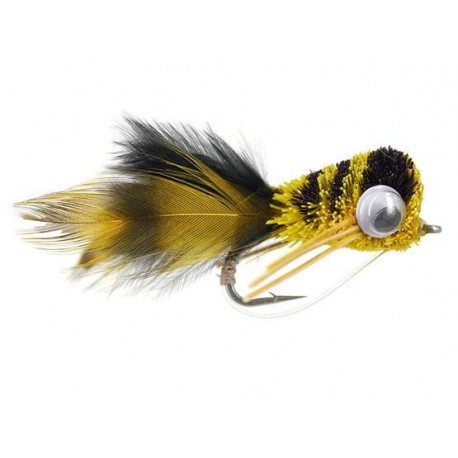puffed up croaker