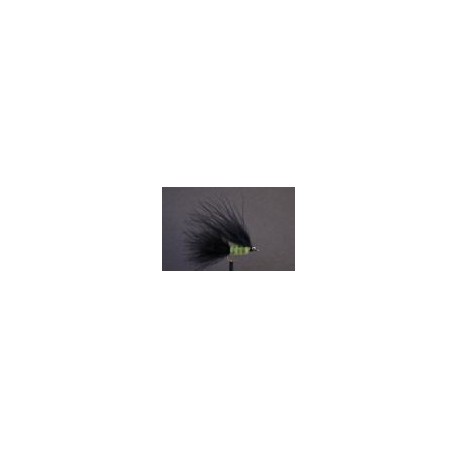 Black Cats Whisker