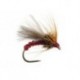 Red Grayling Dream BL
