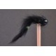 Black Bunny Leech