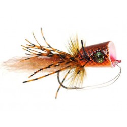 sexi popper orange