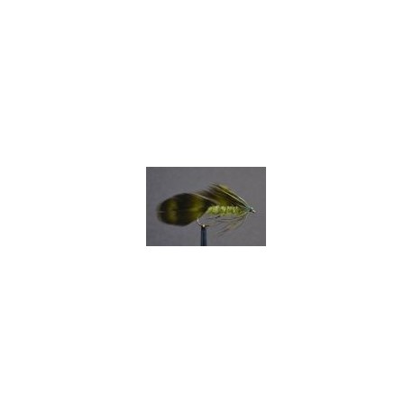 Matuka Olive