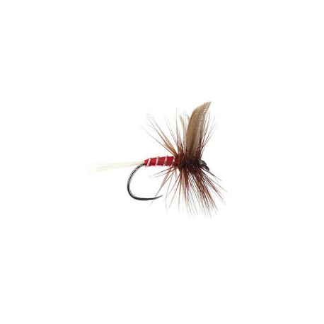 Red Spinner BL
