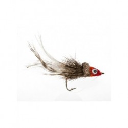 swimming baitfish multicolor