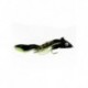 swimming waterdog