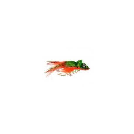 Swimming Frog Orange Belly