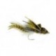 SwimmingFrogWhiteBelly