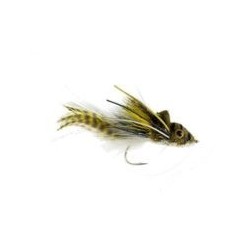 SwimmingFrogWhiteBelly