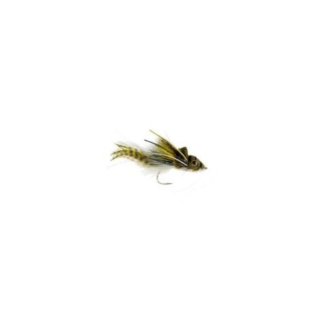 SwimmingFrogWhiteBelly