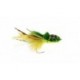 Swimming Frog Yellow Belly