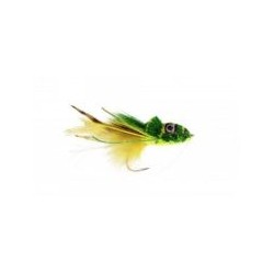 SwimmingFrogYellowBelly