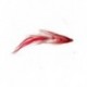 tomahawk chop red and white