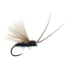 Small Black CDC Caddis BL