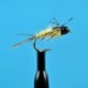 Bead Head Anatomic Nymph