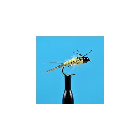 Bead Head Anatomic Nymph