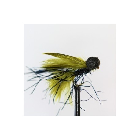 black straggle booby