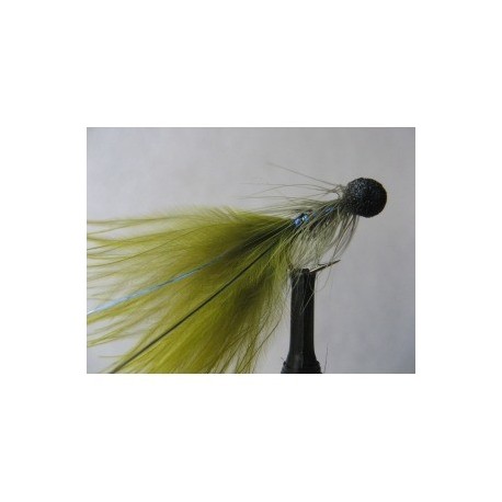 blue flash damsel booby