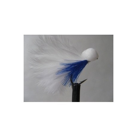 boy blue elite booby